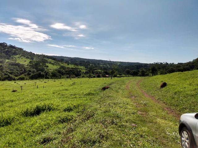 Fazenda no município de Bonfinópolis 24 alqueires - Foto 6