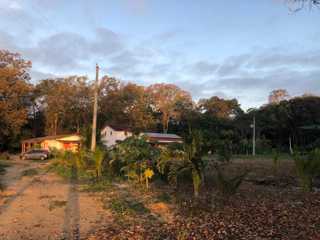 Fazenda produtora de Cacau em Linhares 70mil - Foto 7
