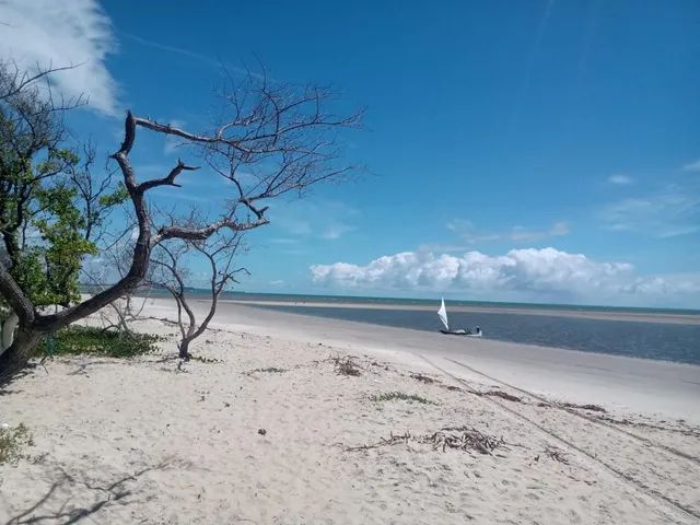 Casa excelente,ampla e confortável. Localizada na belíssima praia de ilha da crôa - Foto 11