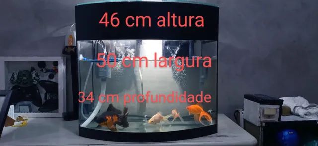 Aquario 50 litros