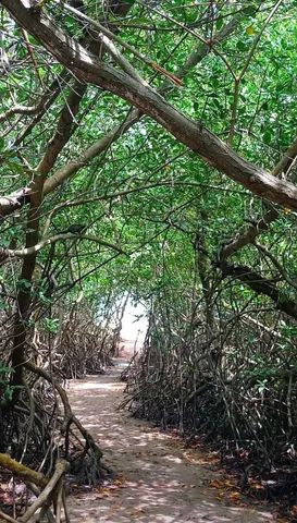 Casa excelente,ampla e confortável. Localizada na belíssima praia de ilha da crôa - Foto 10