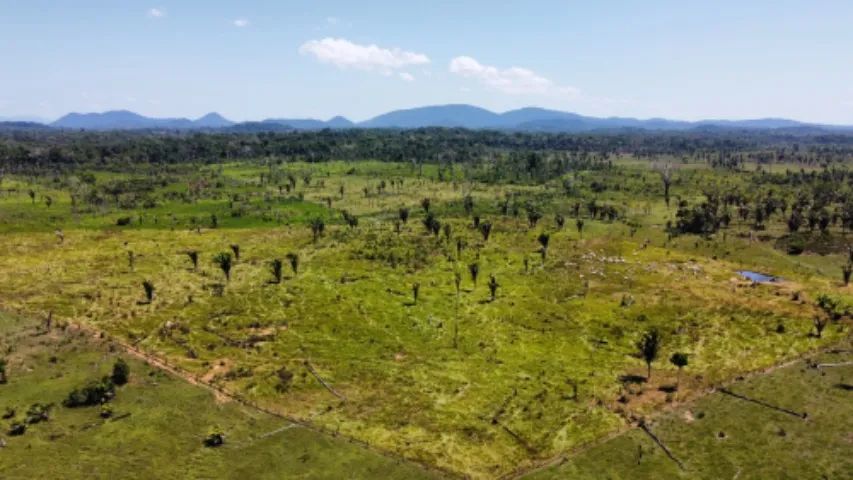Vendo dois lotes no sul de Roraima.  - Foto 3