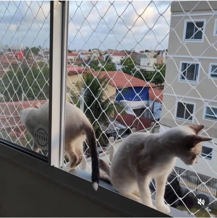 REDES DE PROTEÇÃO. - Foto 4