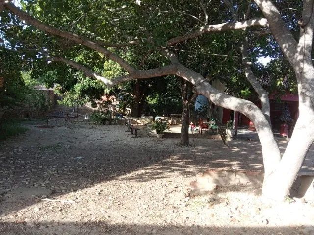 51676 - Casa com Terreno  - Rua Canto Galo - Foto 5