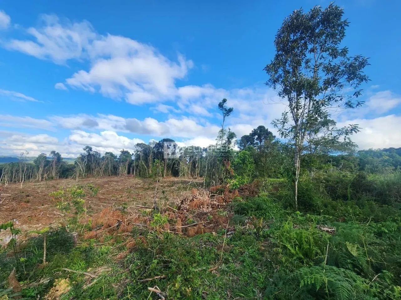 Terreno em Pinheiral - Rancho Queimado - Foto 5