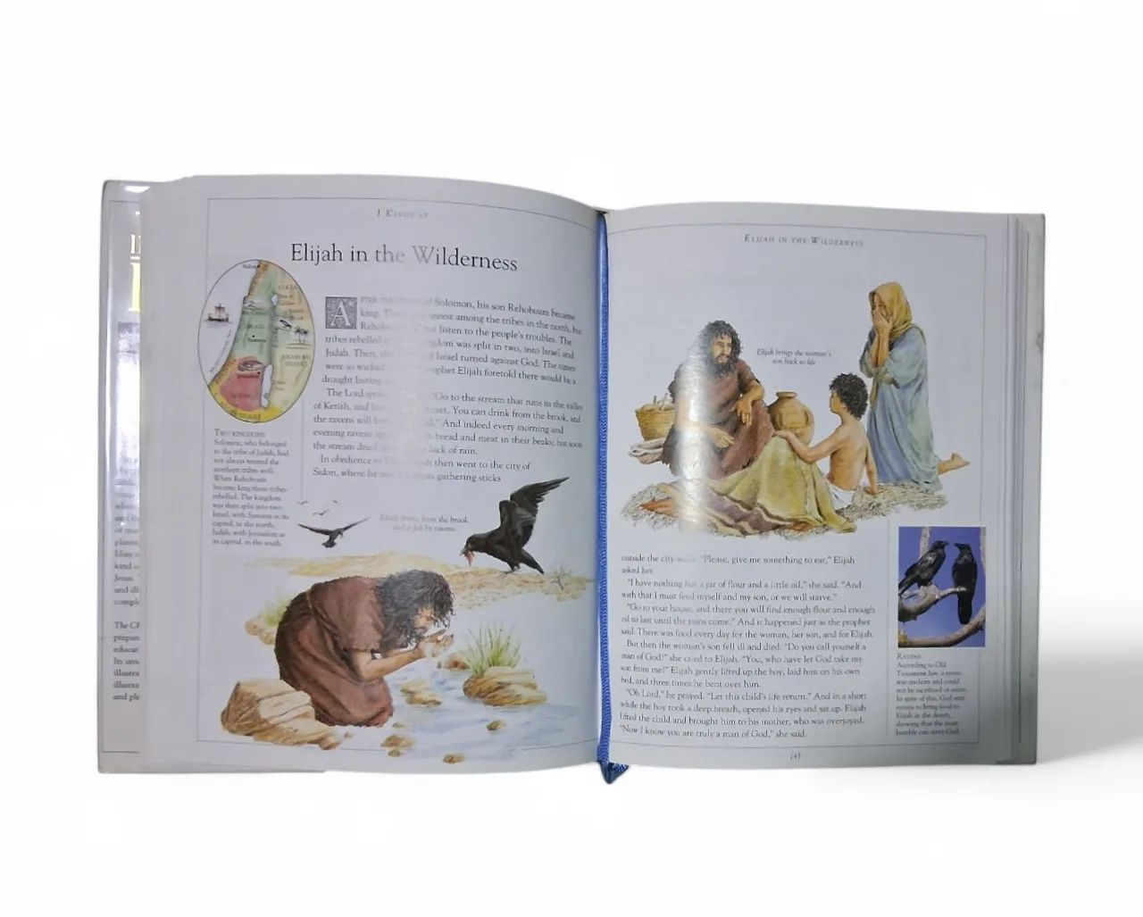 Biblia ilustrada wm inglês  - Foto 5
