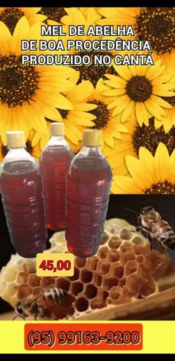 Mel de Abelha Puro - Produzido no Cantá