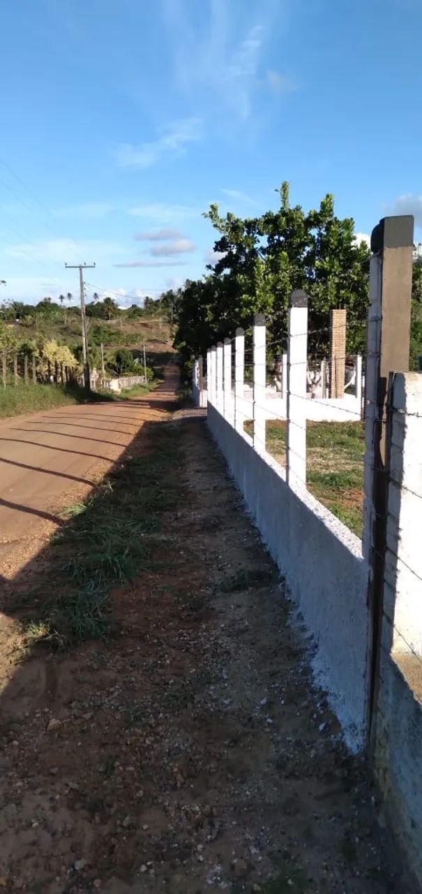 Terreno próximo ao eco parque timbó - Foto 4