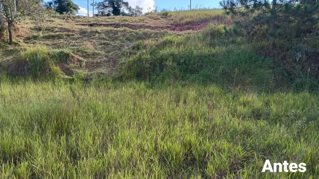 Roçada de lote - Foto 3