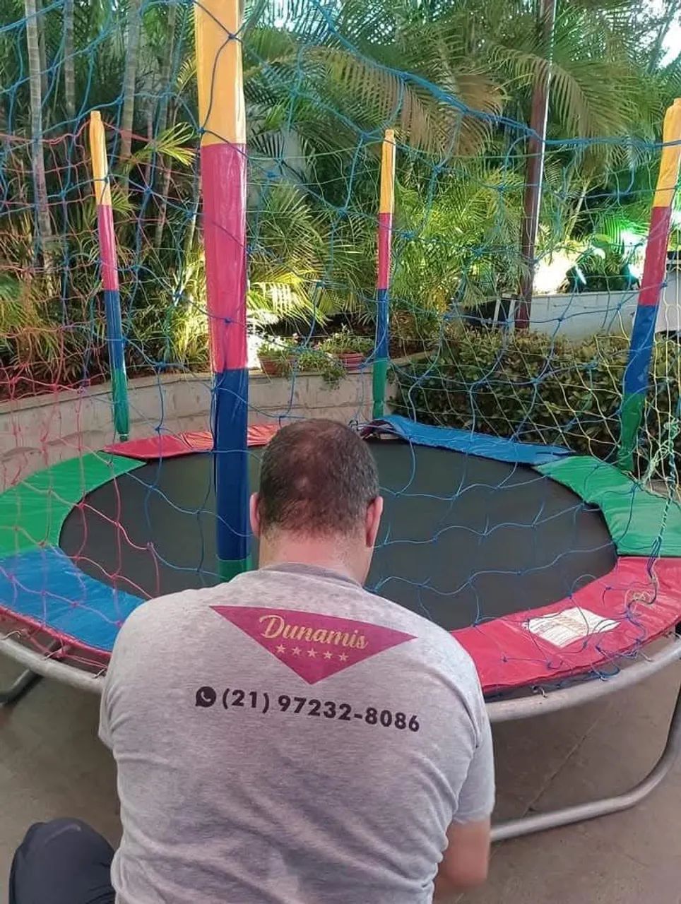 Pula pula65562850411906121