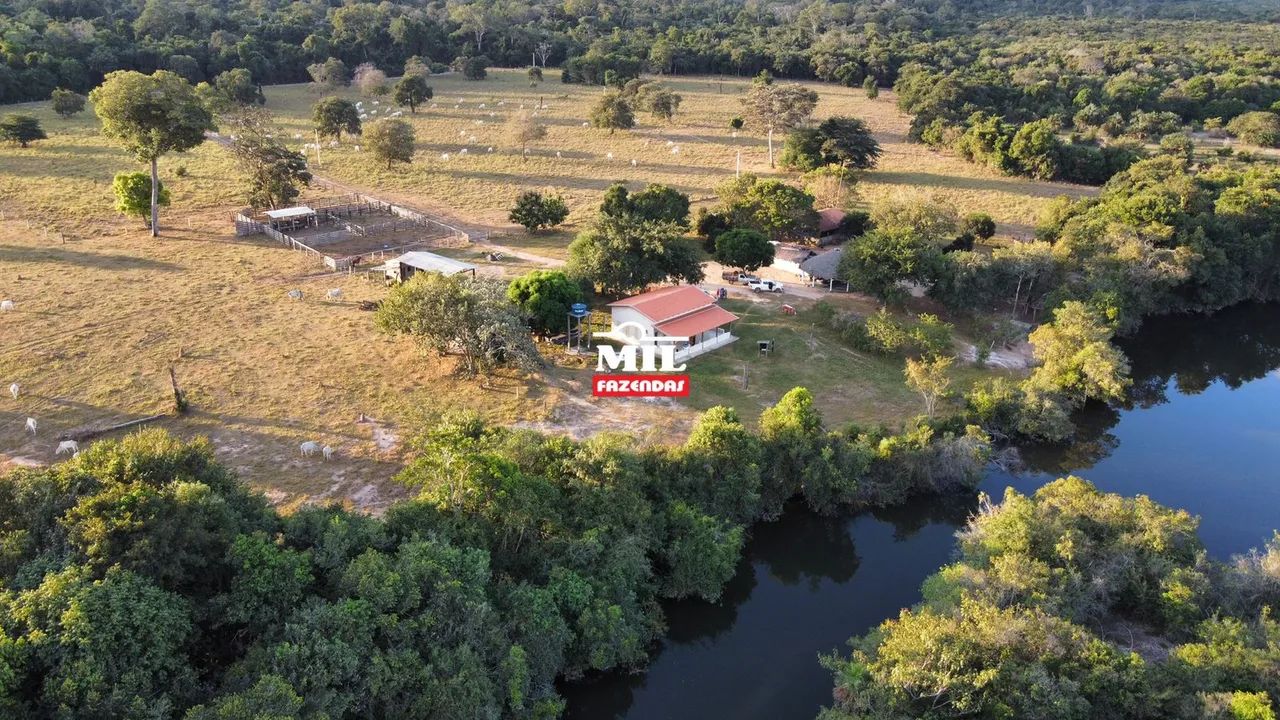 Fazenda 442 Alq. (2.139 Há) Cocalinho-MT - Foto 3