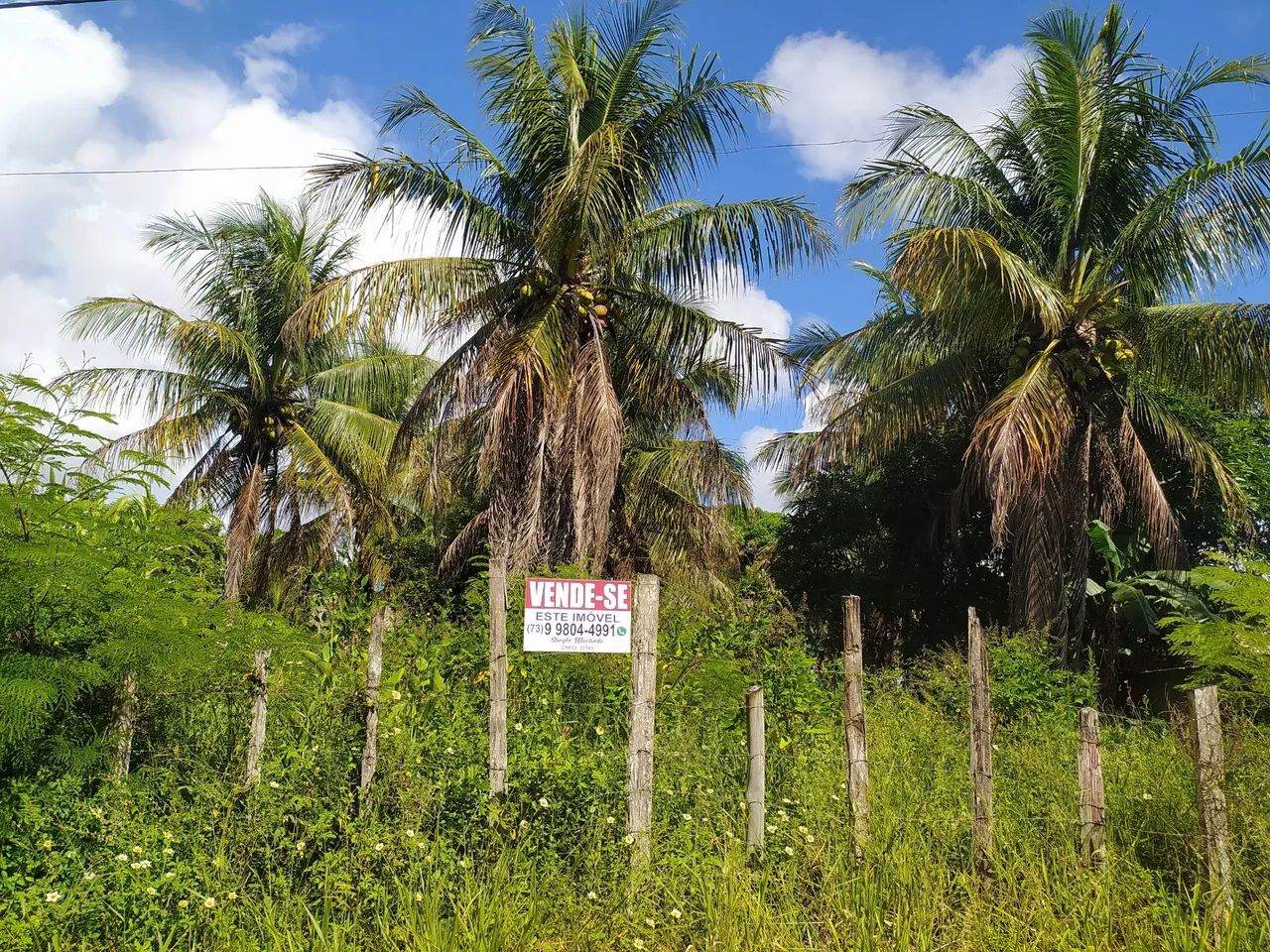 Terreno a venda Santa Cruz Cabrália  - Foto 3