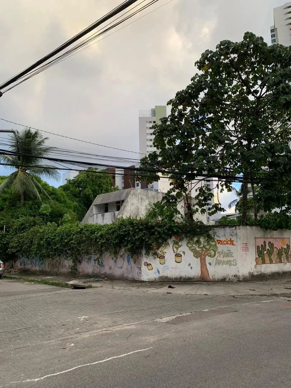 Terreno com ótima localização. - Foto 4