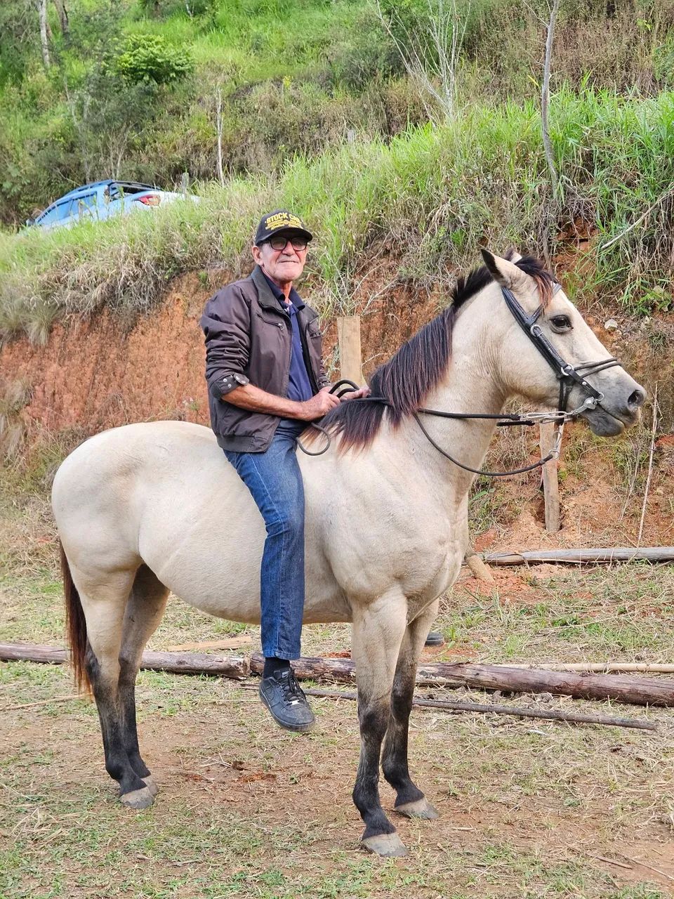 Cavalo Quarto de Milha - Foto 4