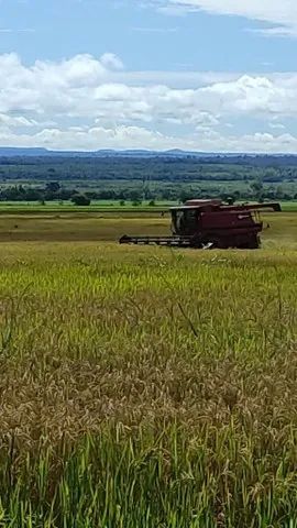 *Mega fazenda a 341 Alqueires a 55 km de Araguaína 35  milhões