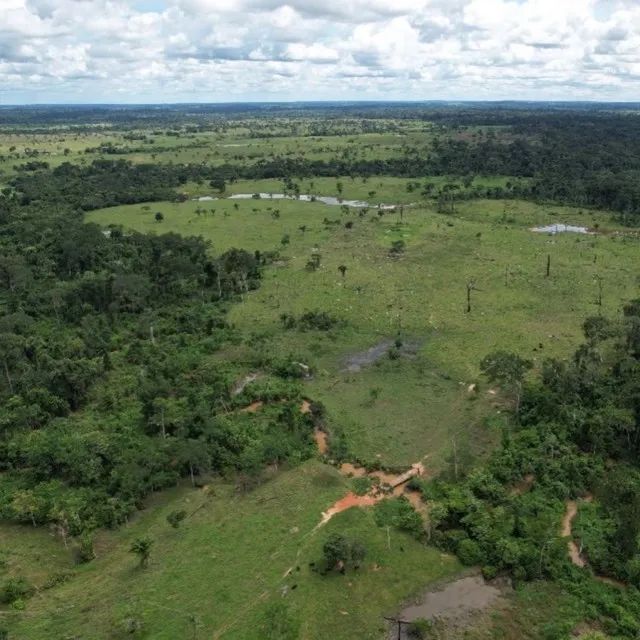 Fazenda Plácido de Castro - Foto 4