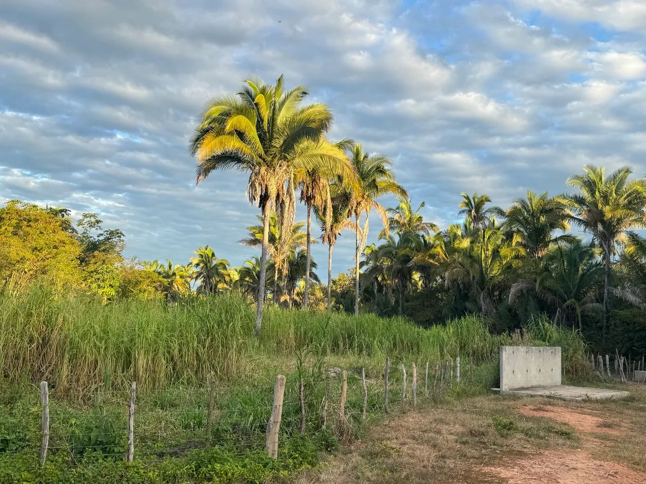 Vendo sítio km 14 Tiuba em TIMON MA  - Foto 4