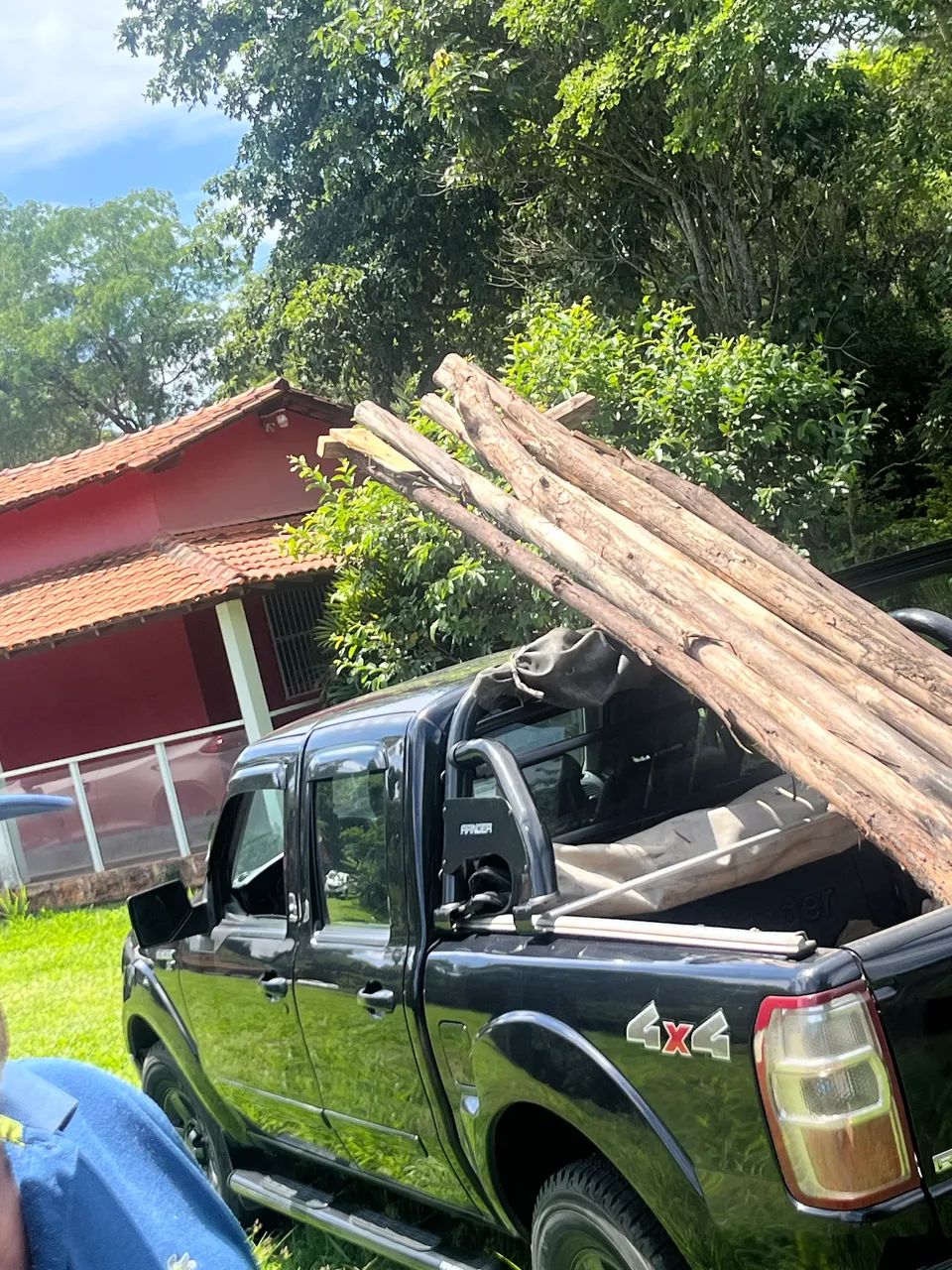 Eucaliptos para escoras - Foto 2