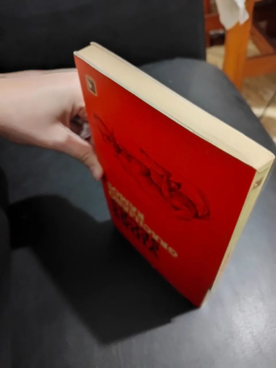 Livro: vidas secas - Foto 3