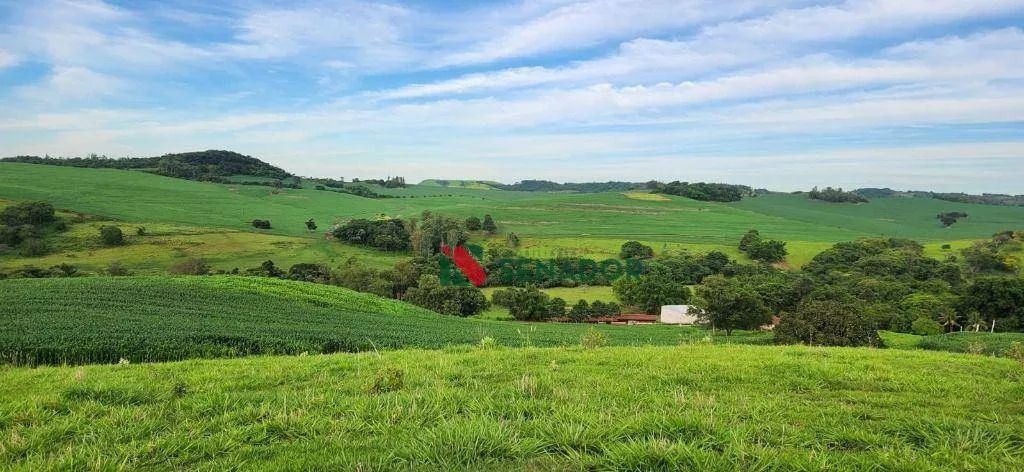 Fazenda à venda, 171 Alq-SP por R$ 43.000.000 - Jataizinho - Jataizinho/PR