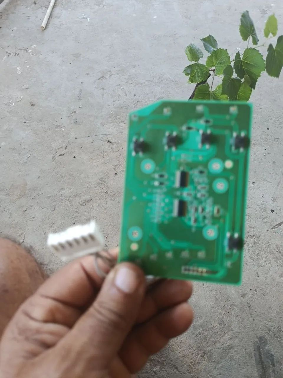 Placa de interface lavadora brastemp
