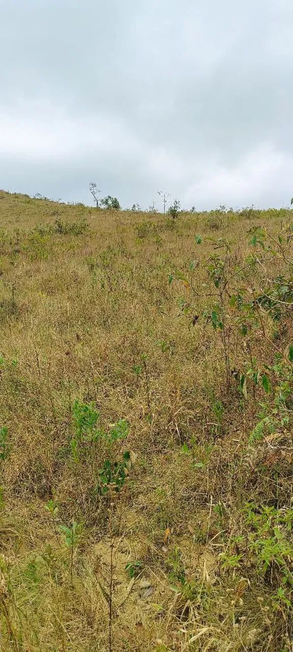 Sítio a venda em Lima Duarte - Foto 2
