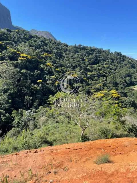 Terreno-À VENDA-Araras-Petrópolis-RJ - Foto 3