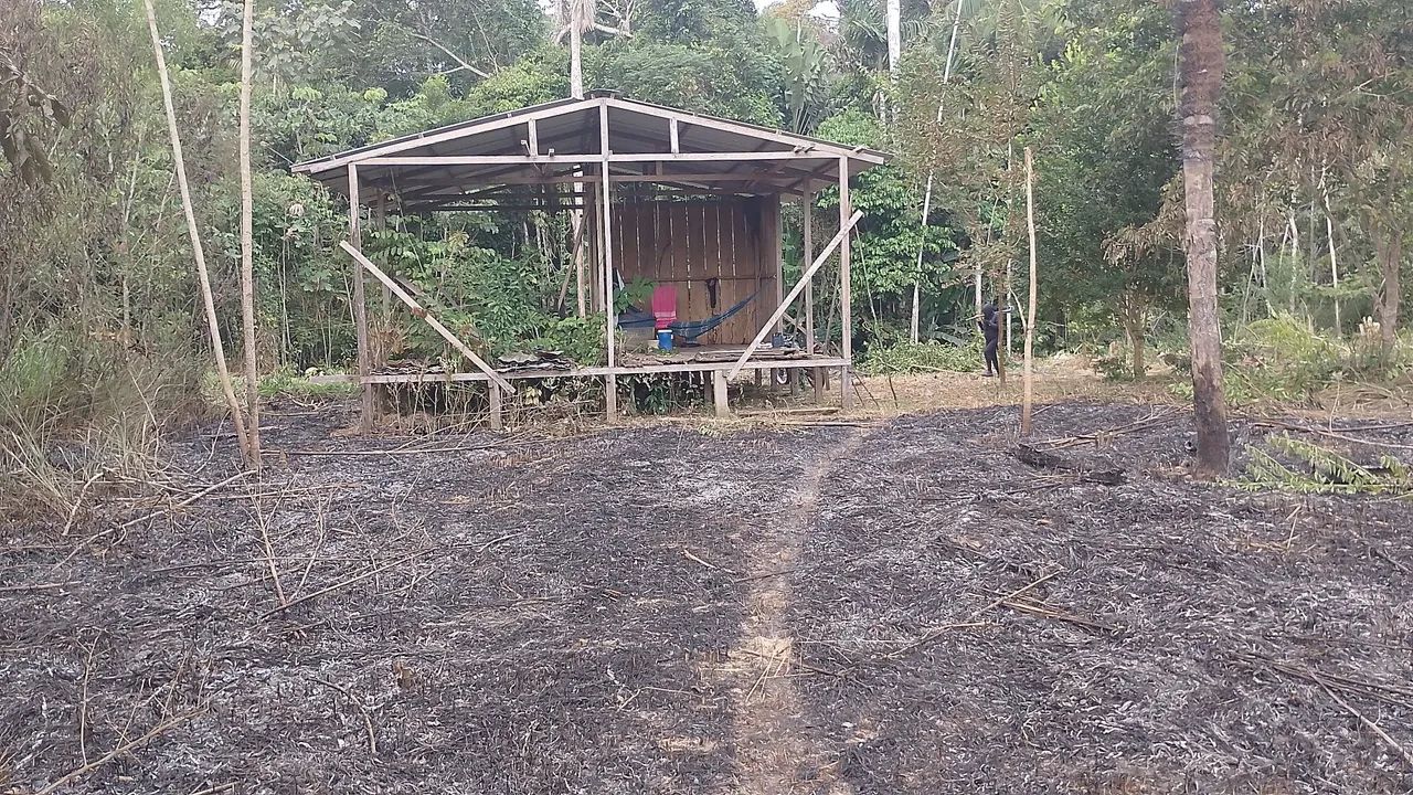Vende-se lotes - Foto 5