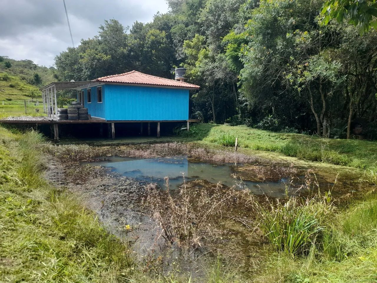 Chácara com tanque em mandirituba  - Foto 4