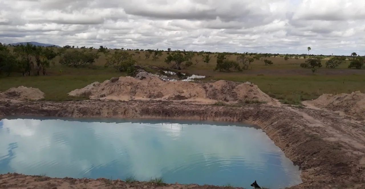 OPORTUNIDADE ÚNICA - VENDA DE 2 PROPRIEDADES RURAIS EM RORAIMA . - Foto 4