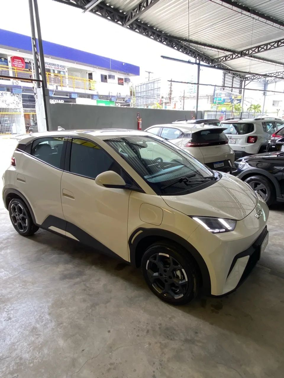 BYD Dolphin Mini GL 2027 - Foto 3