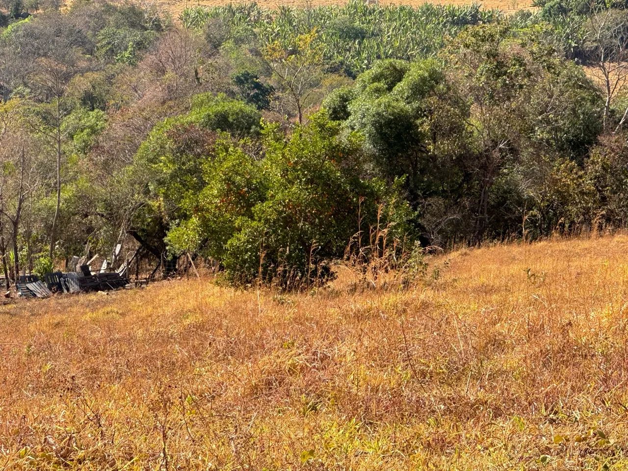 Vendo chácara próxima Anápolis - Foto 4