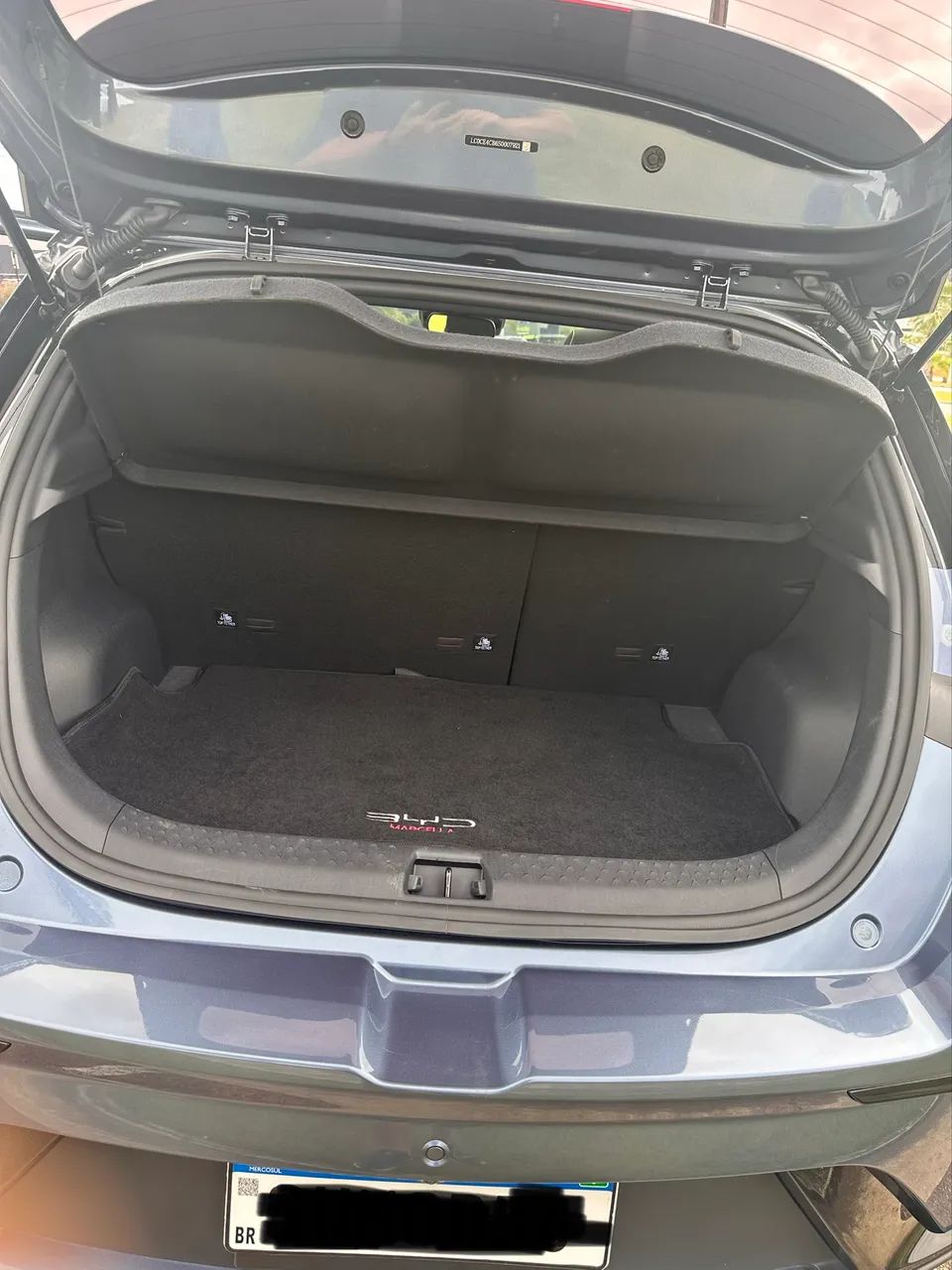 BYD Dolphin Plus (Elétrico) 2025 - Foto 4
