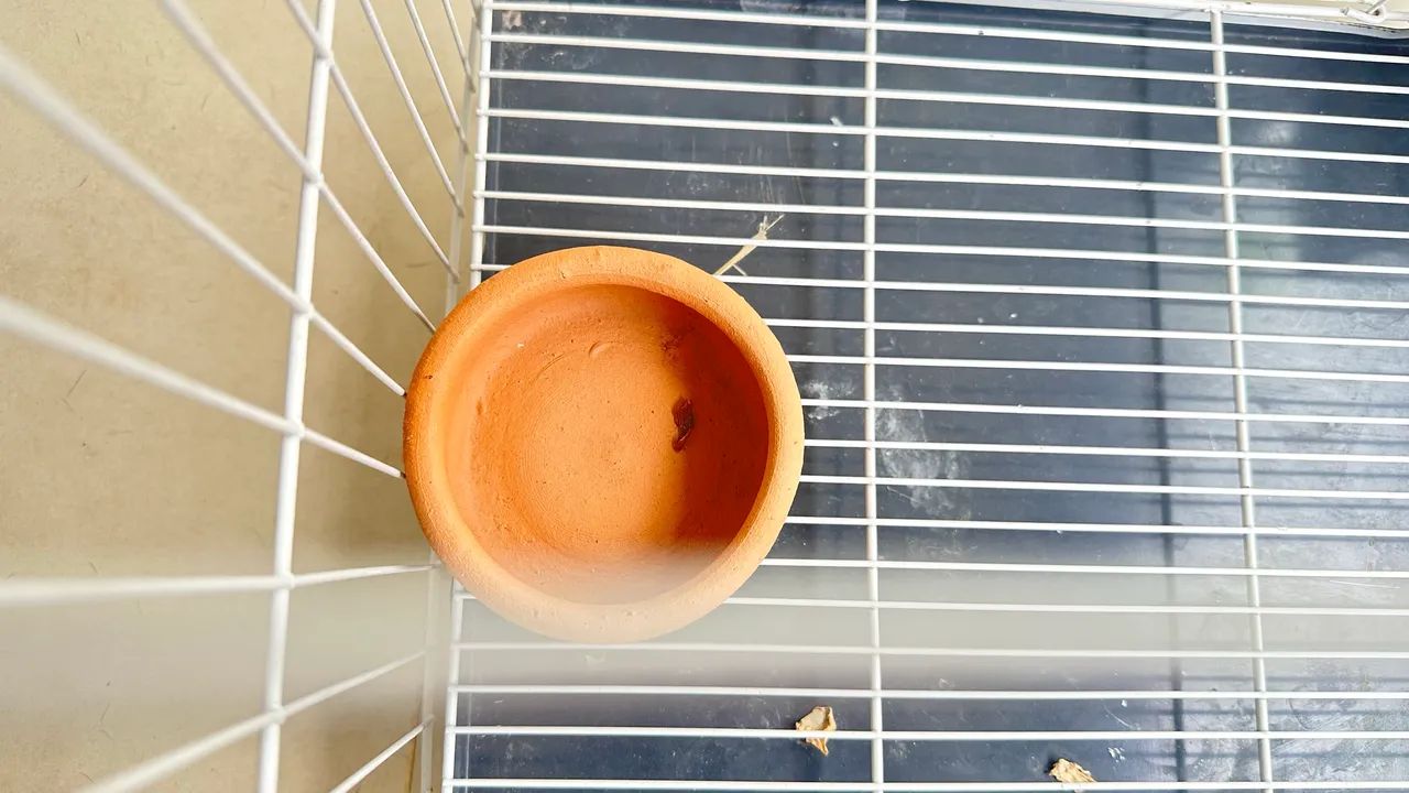 Gaiola para hamister - Foto 2