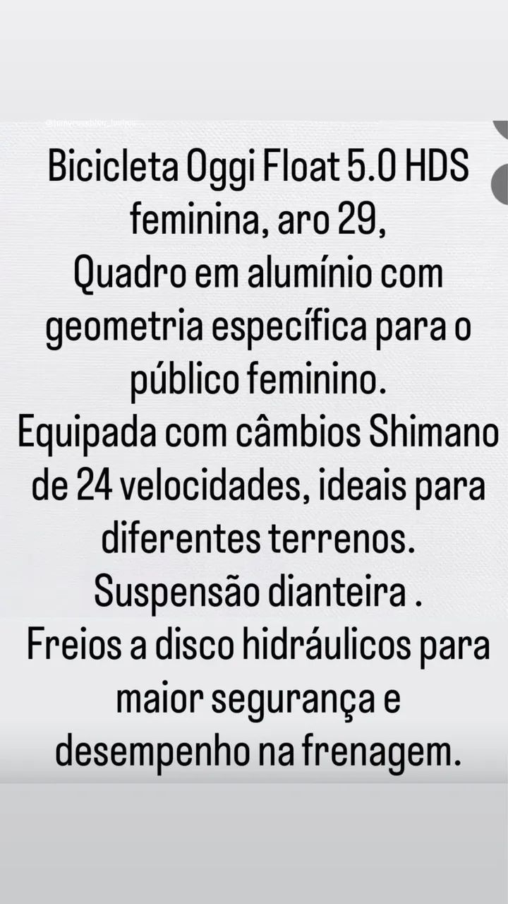 Bicicleta feminina oggi 