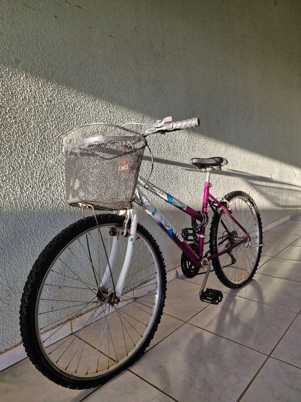 Bicicleta com Cesto