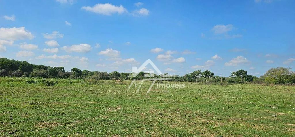 FAZENDA A VENDA NA REGIÃO DO BARÃO DO MELAÇO - MT - Foto 2