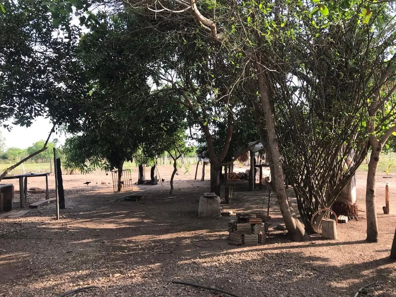 Chácara  - Foto 5