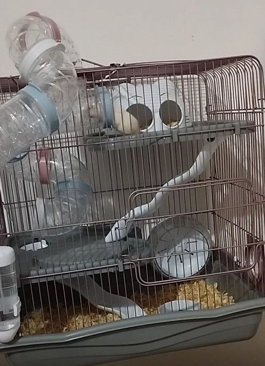 Gaiola safari 3 andares com túnel para hamster  - Foto 2