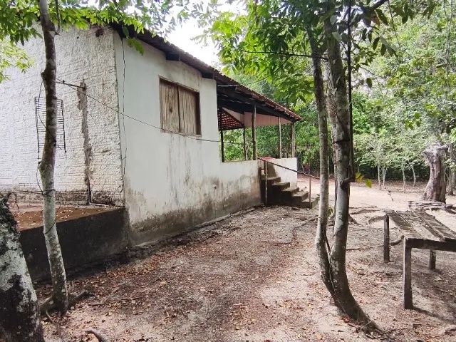 Chácara 10000 m2 - Foto 5
