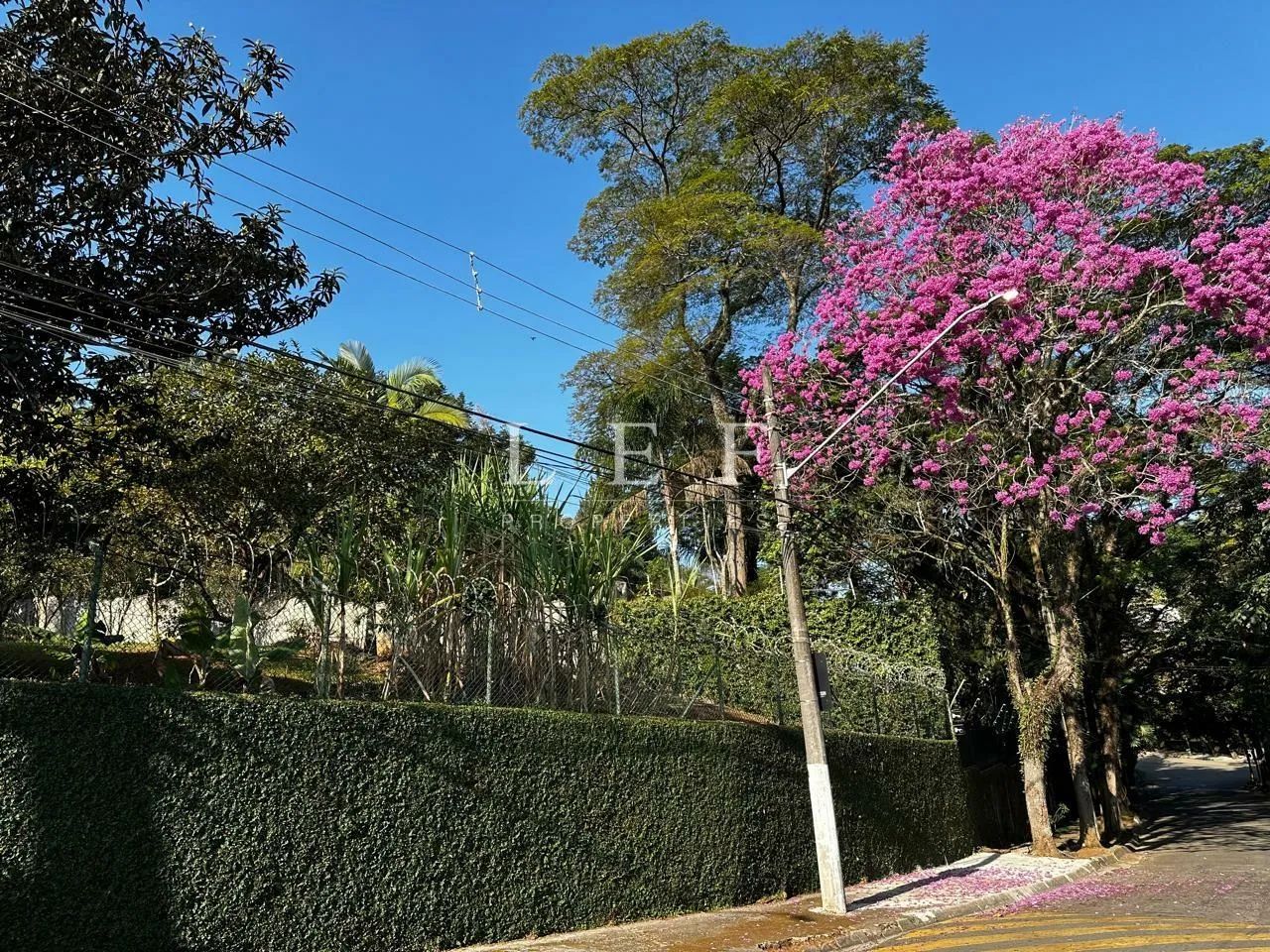 R.Rubens do Amaral,S/N - Morumbi - Terreno