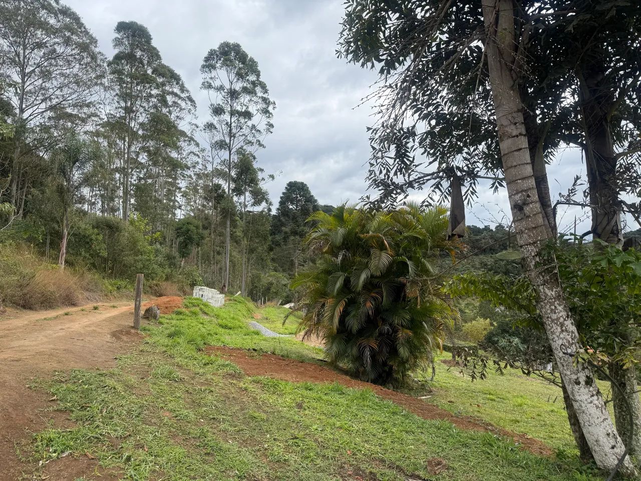 Lote para chácara 2000m2 ( Local fechado com portaria) - Foto 3