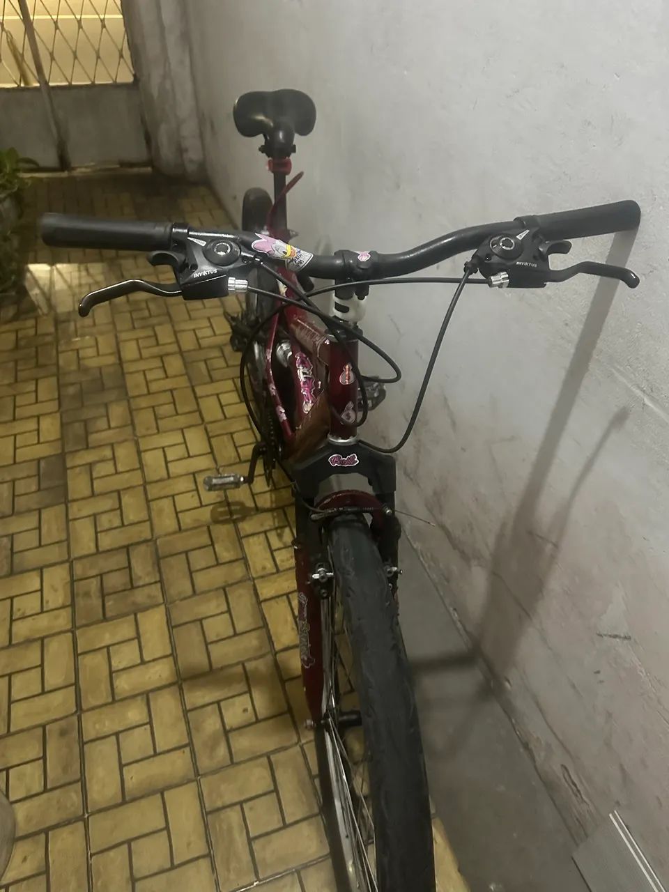 Bicicleta 