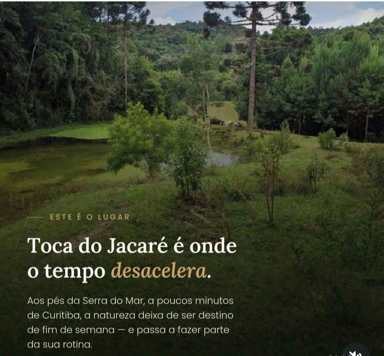 CHÁCARAS EM QUATRO BARRAS/20.000m² 100% documentadas 