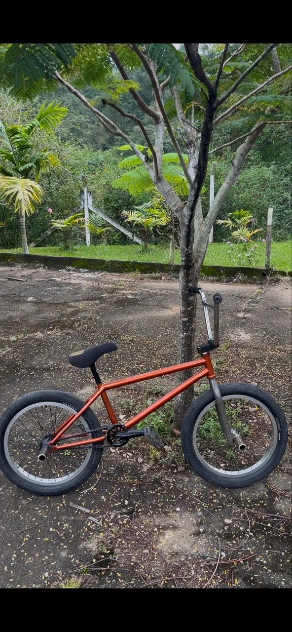 Bmx Profissional- peças gringas - Foto 2