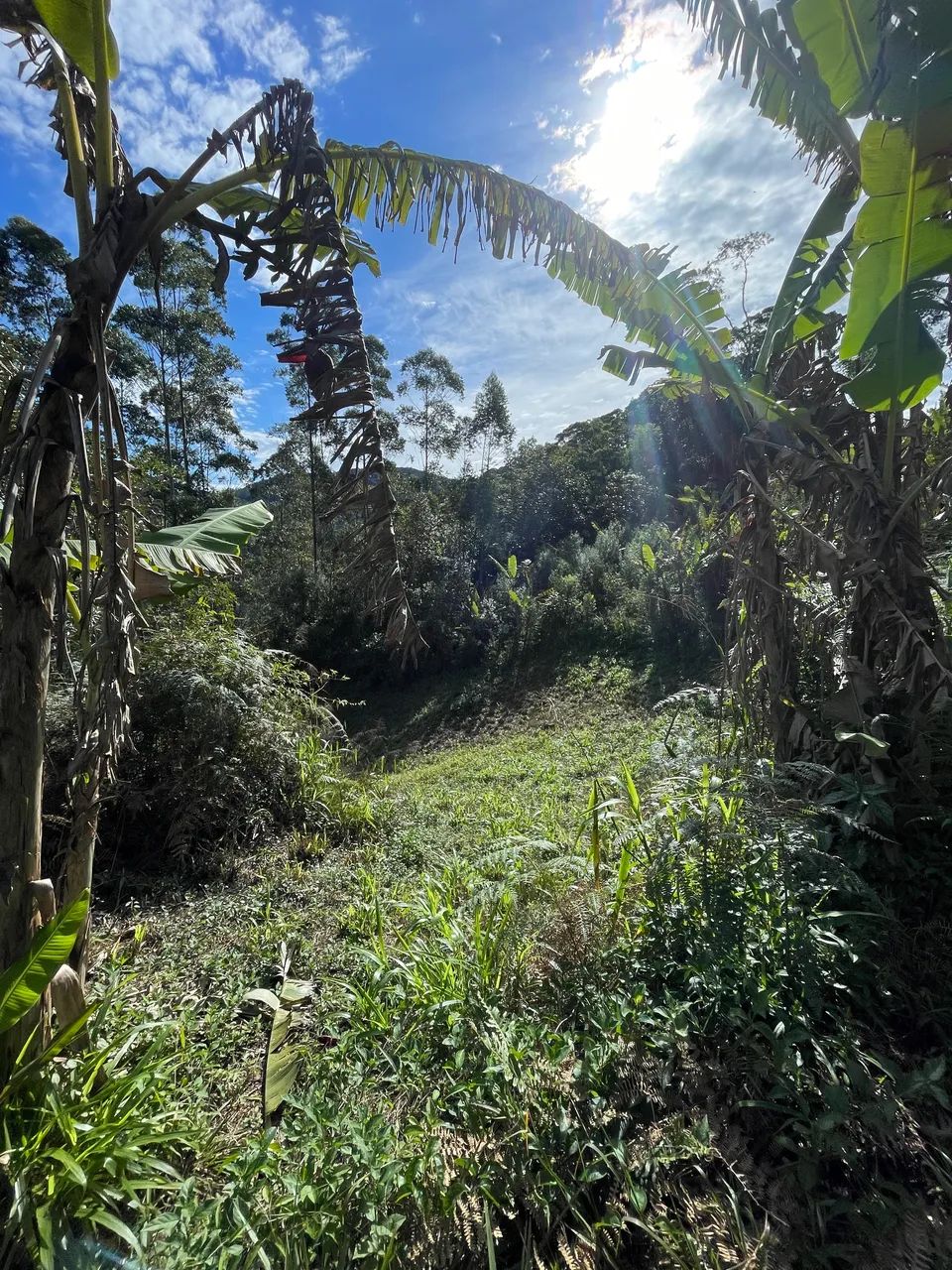 Terreno para venda Major Gercino SC
