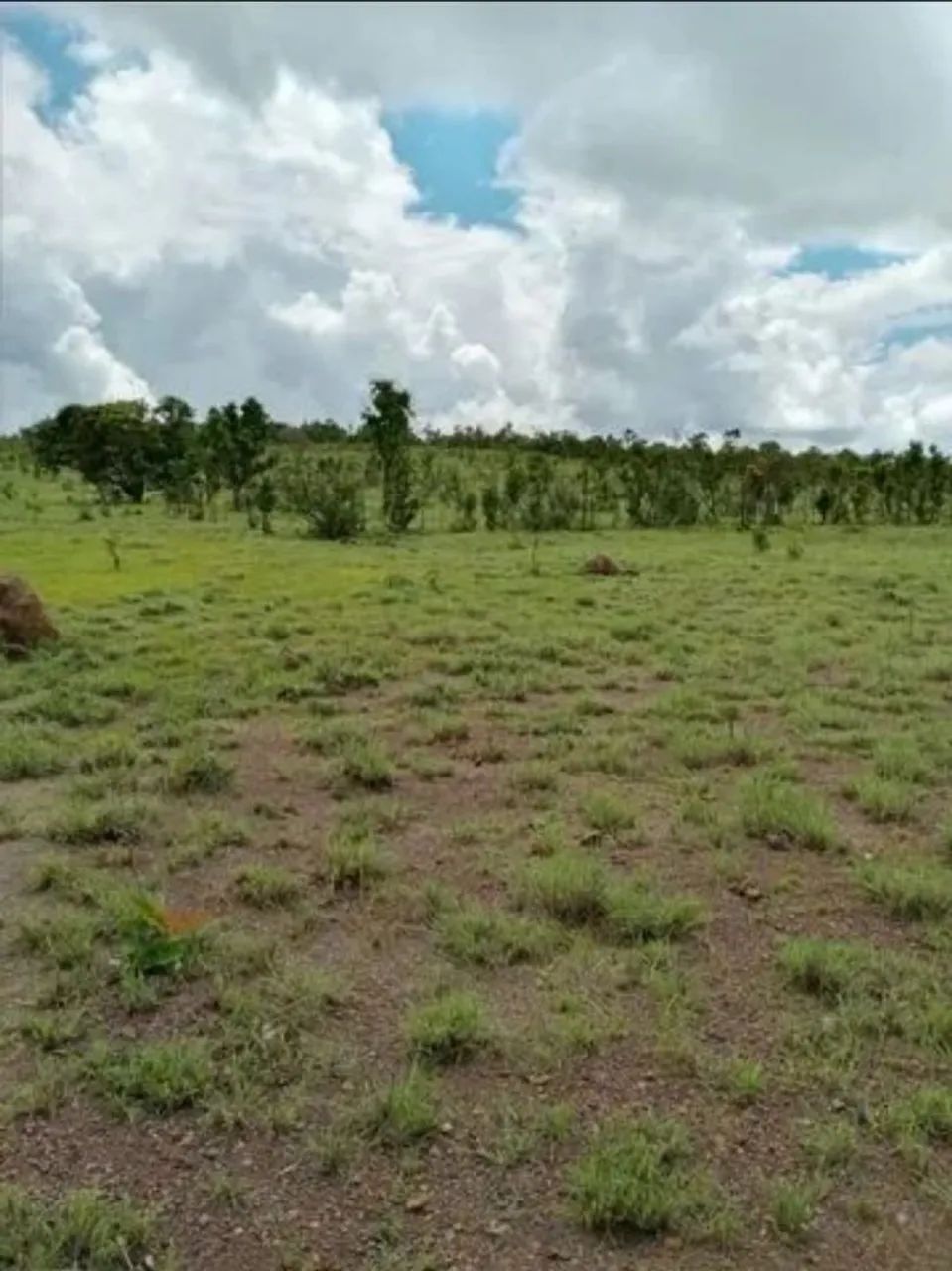 Fazenda a venda - Tocantins  - Foto 2