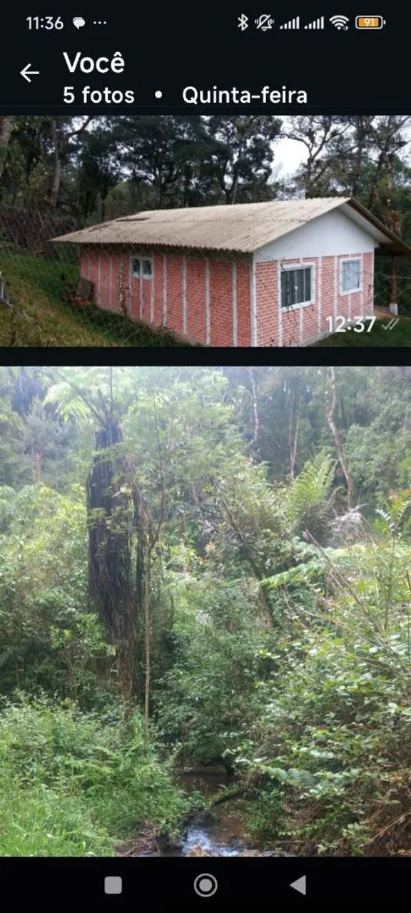 Foto - Curitiba - Cajuru