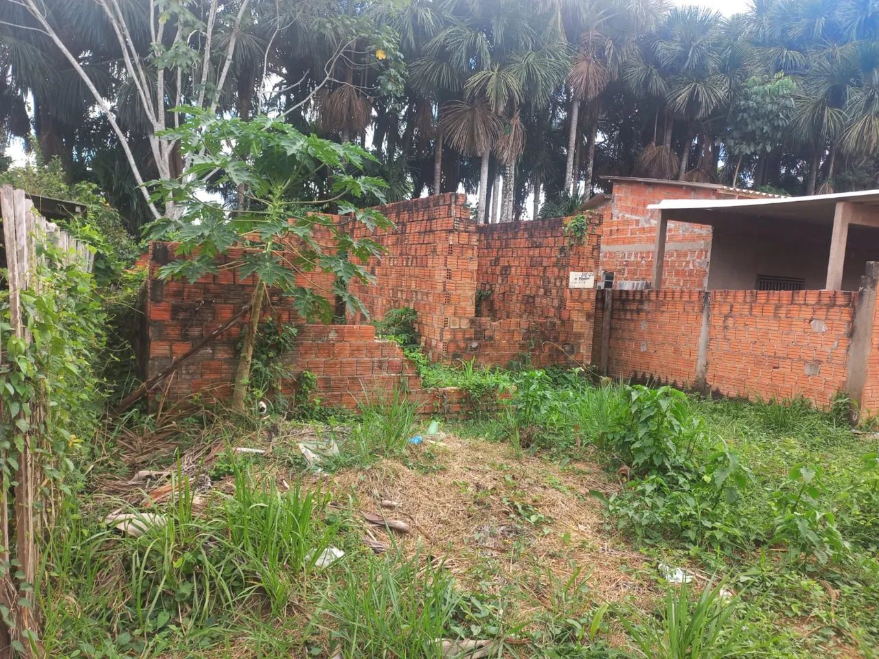 Terreno Ramal Herculano - Foto 4