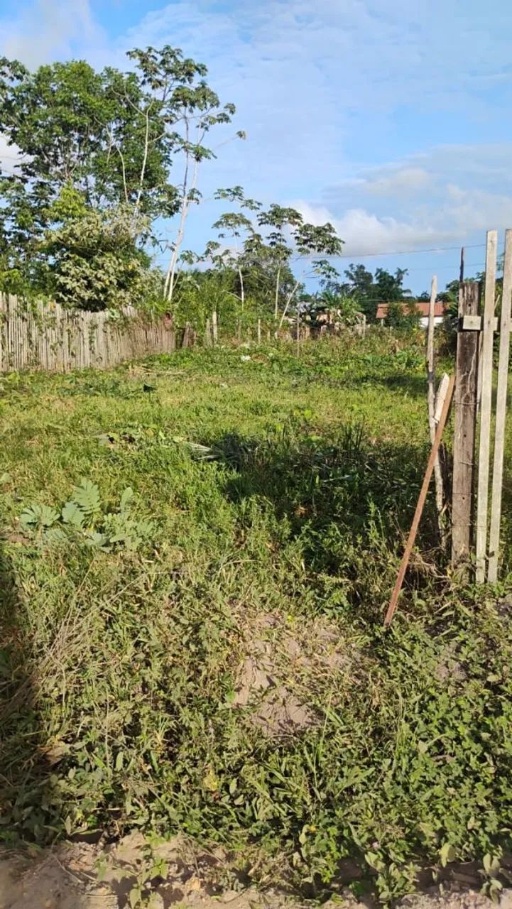 Vendo:baratinho pra vender logo. - Foto 2